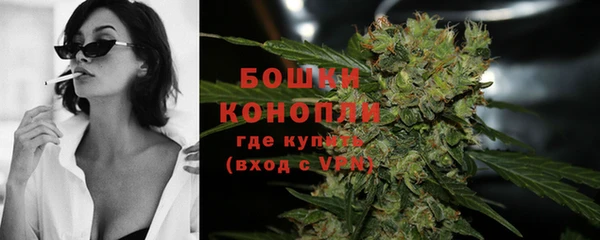мдпв Кодинск