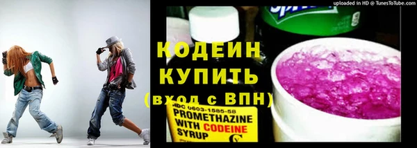 мдпв Кодинск