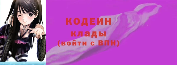 мдпв Кодинск