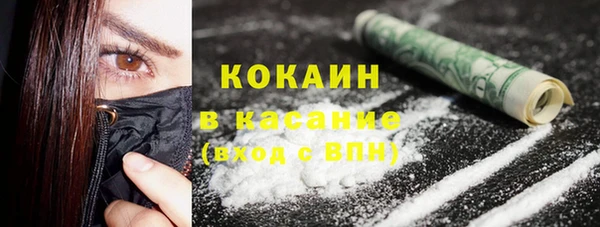 мдпв Кодинск