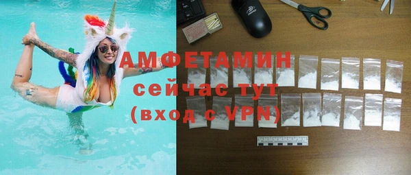 мдпв Кодинск
